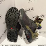 Salomon X-Reveal GORE-TEX